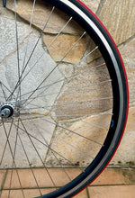 Load image into Gallery viewer, Ambrosio Focus TQB Campagnolo Wheelset for Clincher
