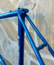 Load image into Gallery viewer, 54cm Pinarello Treviso Frameset - New paint
