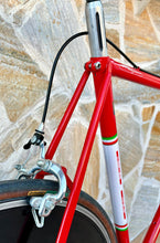 Load image into Gallery viewer, Cicli Sannino Crono TT Lo Pro Bike
