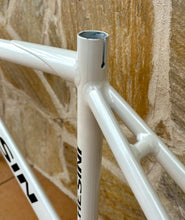 Load image into Gallery viewer, 48cm Chesini Pista NOS Track Frameset
