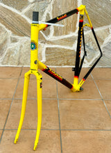 Load image into Gallery viewer, Rino Boschetti Custom Multishape Frameset - NOS fork

