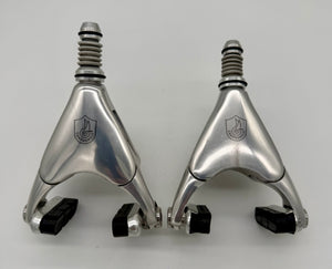 Campagnolo Delta Brakes 5 Pivot