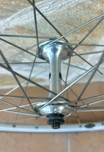 Load image into Gallery viewer, Ambrosio Excursion Campagnolo Record Clincher Wheelset
