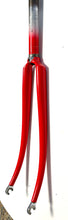 Load image into Gallery viewer, Francesco Moser Fork 28"
