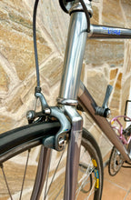 Load image into Gallery viewer, 57cm Sakae Ringyo Litage Road Racing Bike
