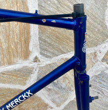 Load image into Gallery viewer, Rare Eddy Merckx Vintage Cyclocross Steel Frame
