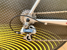 Load image into Gallery viewer, 55cm Cicli Boschetti Altec Lo Pro TT Crono Bike

