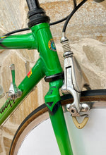 Load image into Gallery viewer, Rino Boschetti Crono Lo Pro TT Bike
