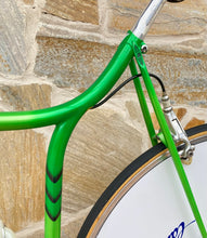 Load image into Gallery viewer, Rino Boschetti Crono Lo Pro TT Bike
