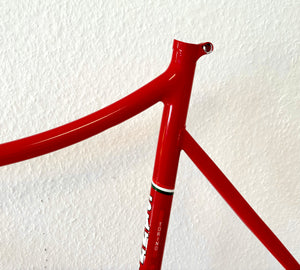 Cicli Sannino Lo Pro Crono TT Frameset