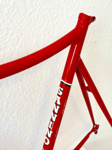 Cicli Sannino Lo Pro Crono TT Frameset