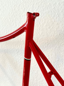 Cicli Sannino Lo Pro Crono TT Frameset