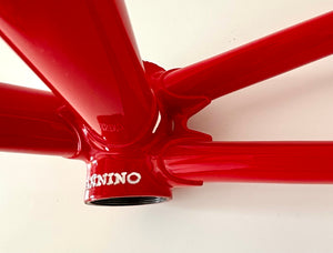 Cicli Sannino Lo Pro Crono TT Frameset