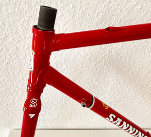 Cicli Sannino Lo Pro Crono TT Frameset