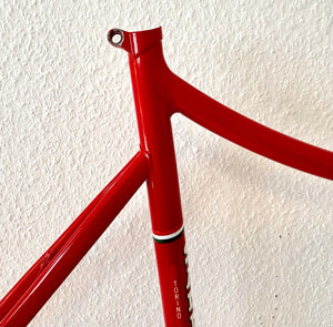 Cicli Sannino Lo Pro Crono TT Frameset