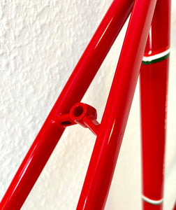 Cicli Sannino Lo Pro Crono TT Frameset