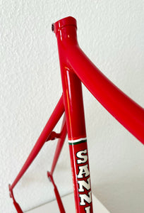 Cicli Sannino Lo Pro Crono TT Frameset