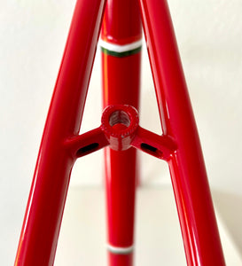 Cicli Sannino Lo Pro Crono TT Frameset