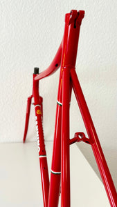 Cicli Sannino Lo Pro Crono TT Frameset