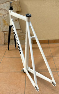 55cm Chesini Pista Frameset