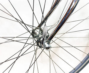 Cicli Rino Boschetti Aero Road Bike