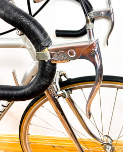 Cicli Alpi Vintage Road Bike by Oriello