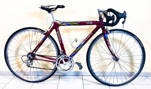 Andrea Pesenti bike on Trek 5500 Oclv