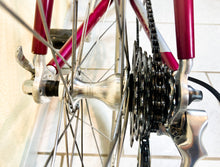 Load image into Gallery viewer, Andrea Pesenti bike on Trek 5500 Oclv
