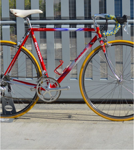 Load image into Gallery viewer, Boschetti MultiShape Vintage Road Race Bike
